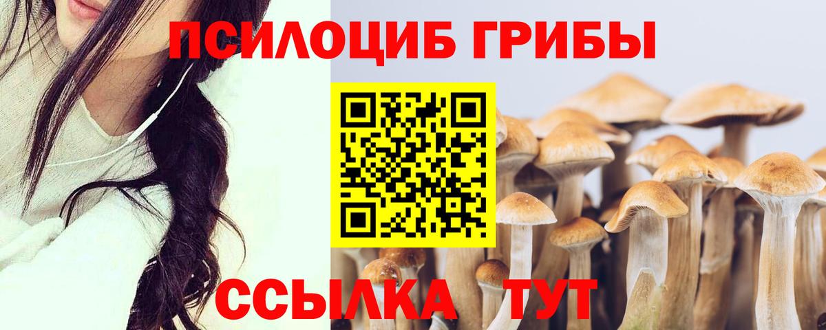 Усть-Кут  Псилоцибиновые грибы мицелий  Вход с VPN 