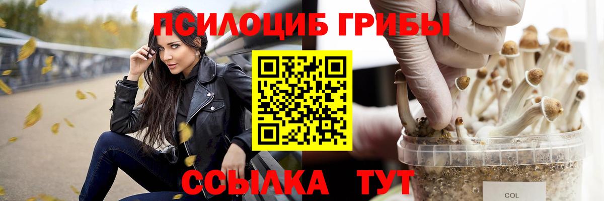 Псилоцибиновые грибы Cubensis Усть-Кут
